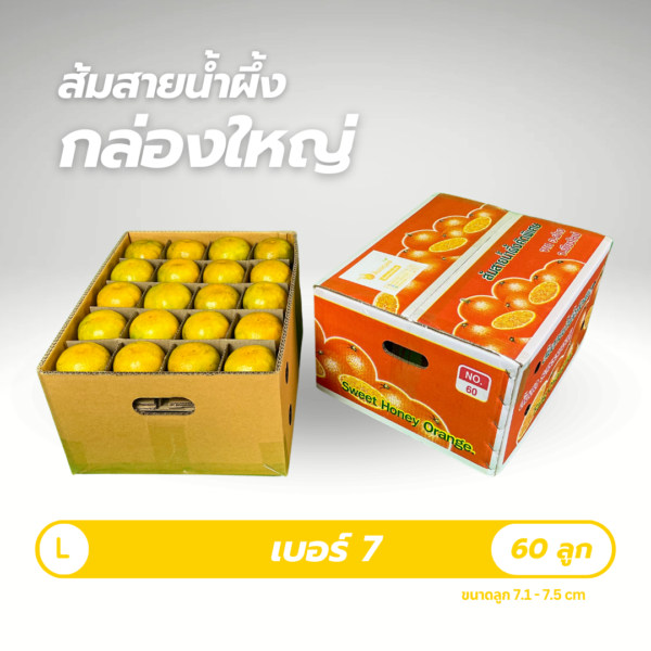 เบอร์ 7 | 60 ลูก
