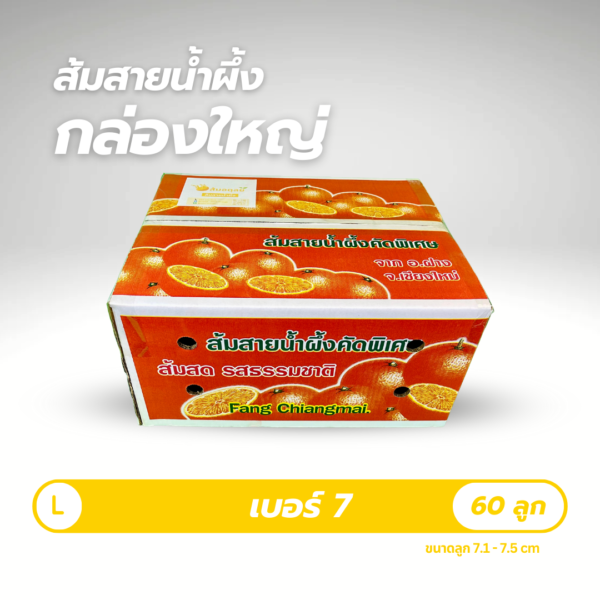 เบอร์ 7 | 60 ลูก - Image 3