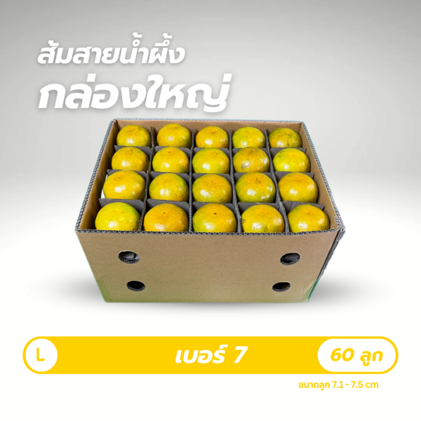 เบอร์ 7 | 60 ลูก - Image 2