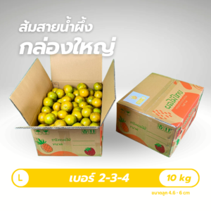 เบอร์ 2-3-4 | 10 kg